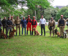 Governo do Paraná vai comprar 93 cães para reforçar atividades policiais e de salvamento
