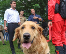Governo do Paraná vai comprar 93 cães para reforçar atividades policiais e de salvamento
