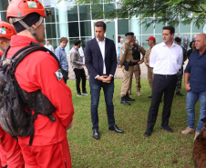 Governo do Paraná vai comprar 93 cães para reforçar atividades policiais e de salvamento