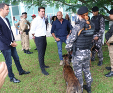 Governo do Paraná vai comprar 93 cães para reforçar atividades policiais e de salvamento