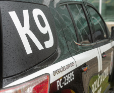 Governo do Paraná vai comprar 93 cães para reforçar atividades policiais e de salvamento