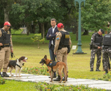 Governo do Paraná vai comprar 93 cães para reforçar atividades policiais e de salvamento