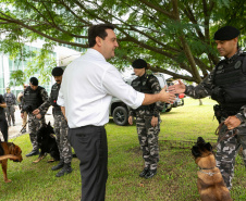 Governo do Paraná vai comprar 93 cães para reforçar atividades policiais e de salvamento