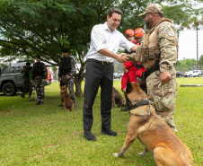 Governo do Paraná vai comprar 93 cães para reforçar atividades policiais e de salvamento