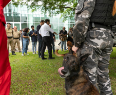 Governo do Paraná vai comprar 93 cães para reforçar atividades policiais e de salvamento