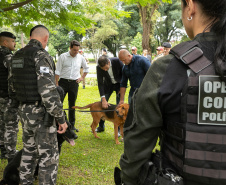 Governo do Paraná vai comprar 93 cães para reforçar atividades policiais e de salvamento