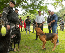 Governo do Paraná vai comprar 93 cães para reforçar atividades policiais e de salvamento