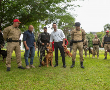 Governo do Paraná vai comprar 93 cães para reforçar atividades policiais e de salvamento