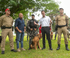 Governo do Paraná vai comprar 93 cães para reforçar atividades policiais e de salvamento
