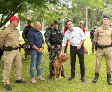 Governo do Paraná vai comprar 93 cães para reforçar atividades policiais e de salvamento