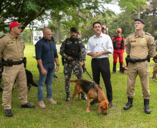 Governo do Paraná vai comprar 93 cães para reforçar atividades policiais e de salvamento