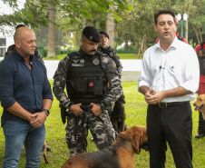 Governo do Paraná vai comprar 93 cães para reforçar atividades policiais e de salvamento