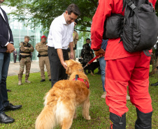 Governo do Paraná vai comprar 93 cães para reforçar atividades policiais e de salvamento