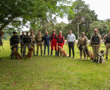 Governo do Paraná vai comprar 93 cães para reforçar atividades policiais e de salvamento