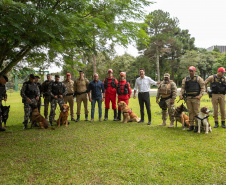Governo do Paraná vai comprar 93 cães para reforçar atividades policiais e de salvamento