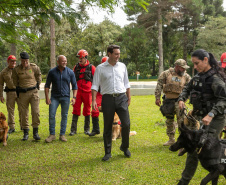 Governo do Paraná vai comprar 93 cães para reforçar atividades policiais e de salvamento