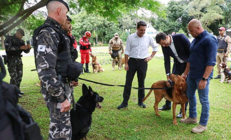 Governo do Paraná vai comprar 93 cães para reforçar atividades policiais e de salvamento