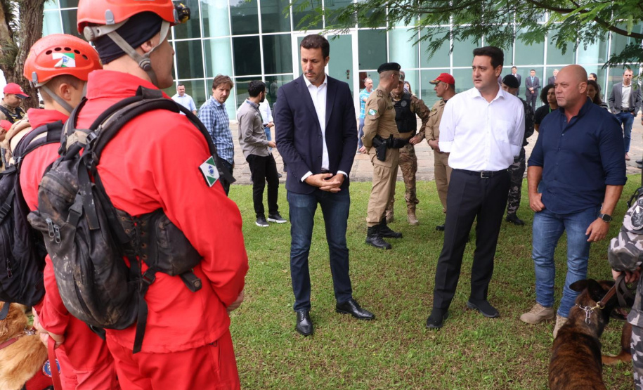 Governo do Paraná vai comprar 93 cães para reforçar atividades policiais e de salvamento