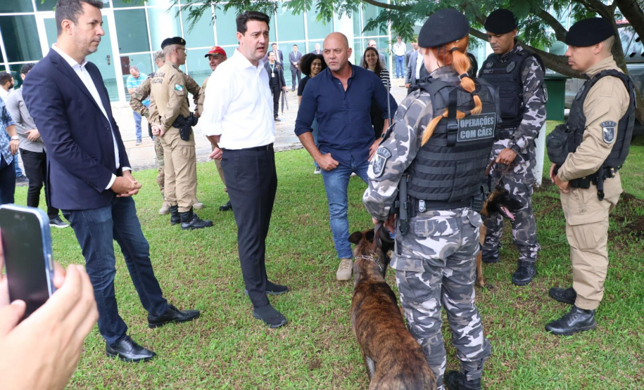 Governo do Paraná vai comprar 93 cães para reforçar atividades policiais e de salvamento