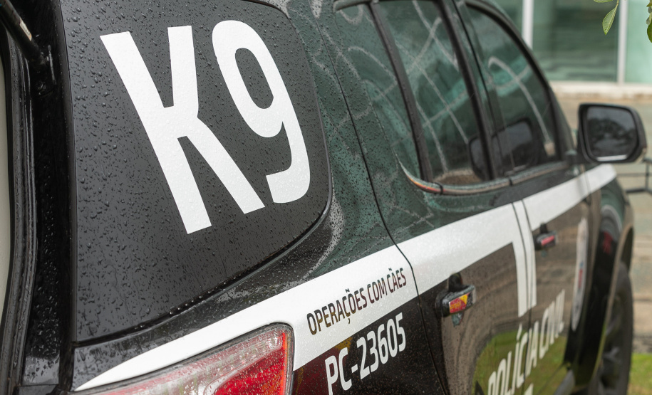 Governo do Paraná vai comprar 93 cães para reforçar atividades policiais e de salvamento