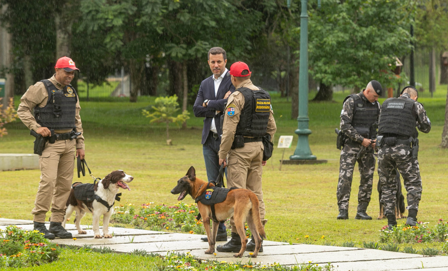 Governo do Paraná vai comprar 93 cães para reforçar atividades policiais e de salvamento
