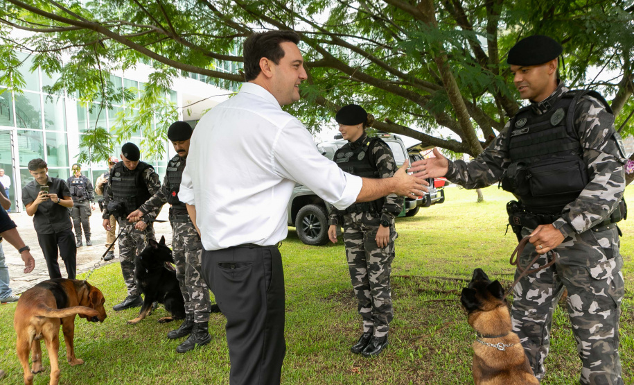 Governo do Paraná vai comprar 93 cães para reforçar atividades policiais e de salvamento