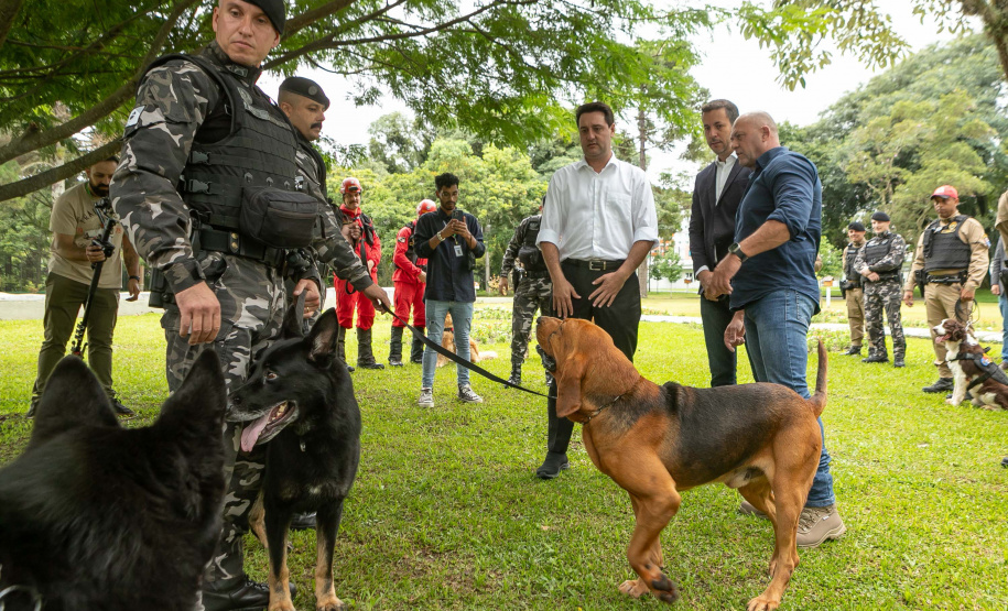 Governo do Paraná vai comprar 93 cães para reforçar atividades policiais e de salvamento