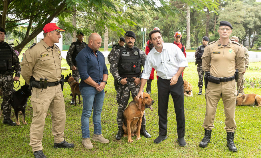 Governo do Paraná vai comprar 93 cães para reforçar atividades policiais e de salvamento