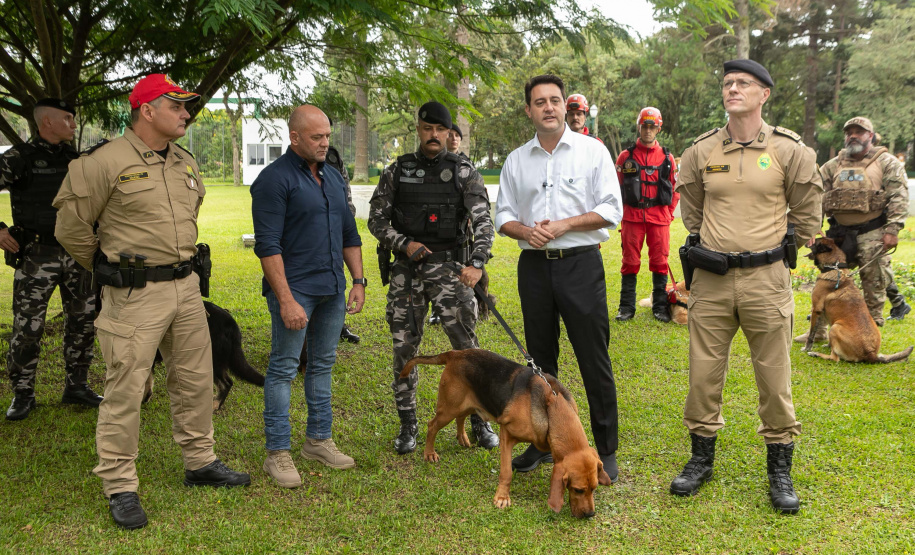 Governo do Paraná vai comprar 93 cães para reforçar atividades policiais e de salvamento