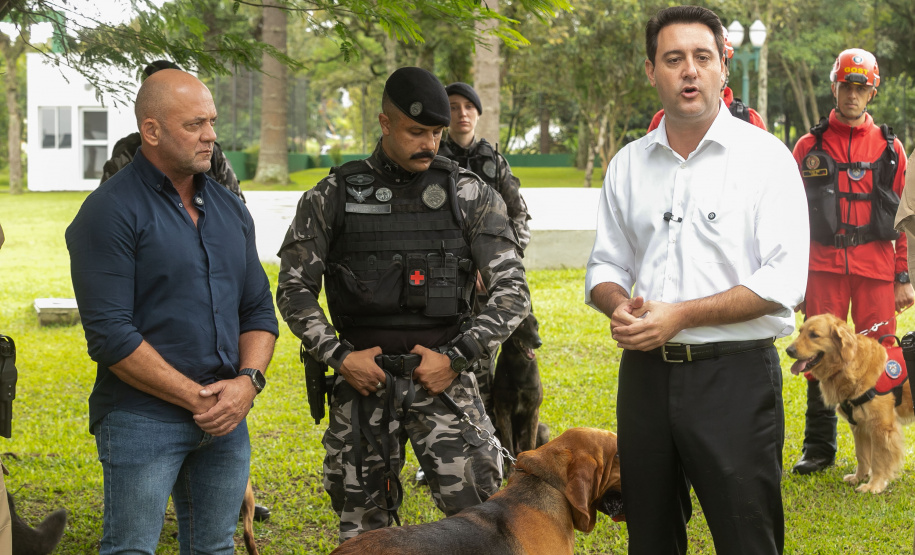 Governo do Paraná vai comprar 93 cães para reforçar atividades policiais e de salvamento
