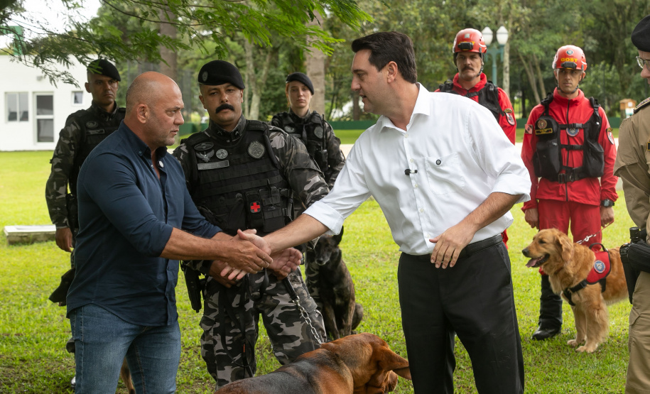 Governo do Paraná vai comprar 93 cães para reforçar atividades policiais e de salvamento