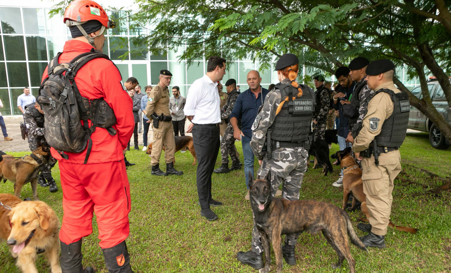 Governo do Paraná vai comprar 93 cães para reforçar atividades policiais e de salvamento