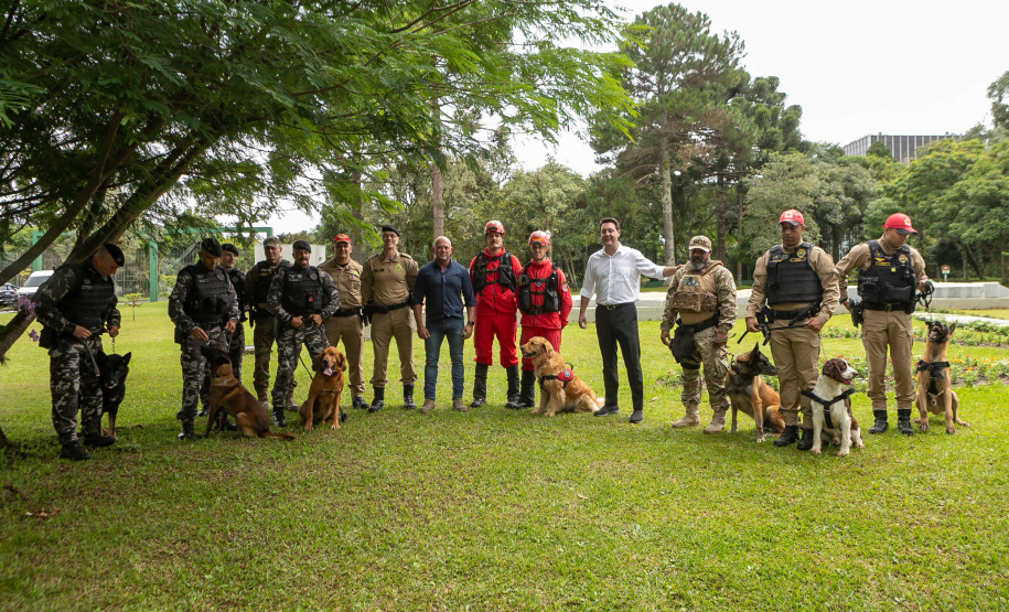 Governo do Paraná vai comprar 93 cães para reforçar atividades policiais e de salvamento