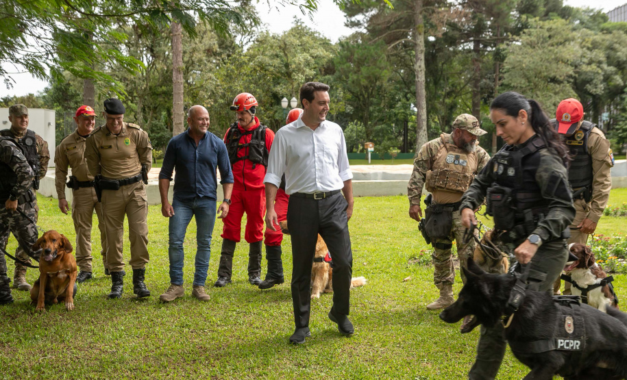 Governo do Paraná vai comprar 93 cães para reforçar atividades policiais e de salvamento